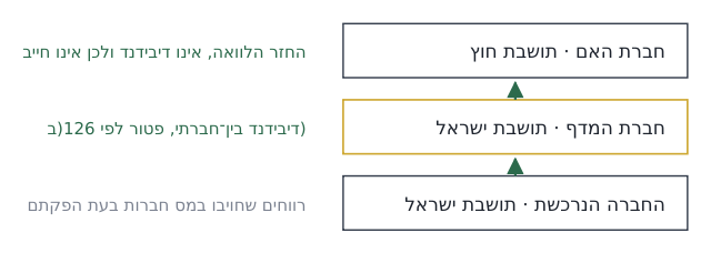 דיאגרמת זרימת הרווחים מהחברה הנרכשת לחברת האם